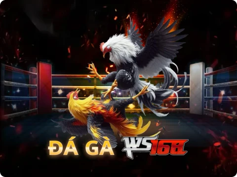 VU88 Đá Gà WS168